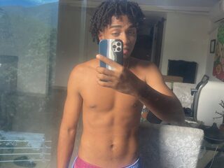 Stefler Big