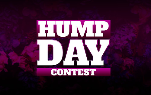 Hump Day Contest dailypromo