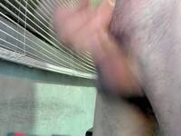 Gendo Kaji Private Webcam Show